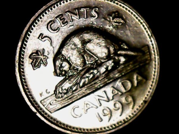 Is-This-A-Rare--Error-Of-Clash-On-This-Canada-5-Cent