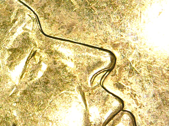 2-Canada-Dollars--Double-Faces