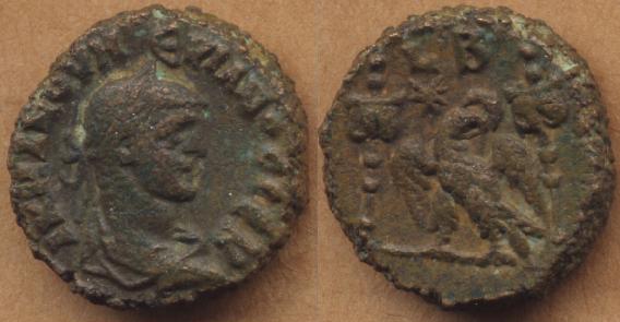 Carinus-Tet