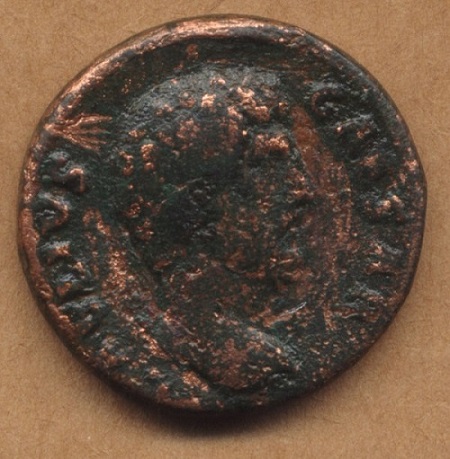 Guess-The-Emperor,-Caesar,-Or-Empress