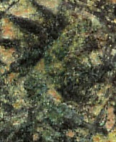Guess-The-Emperor,-Caesar,-Or-Empress