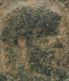 Guess-The-Emperor,-Caesar,-Or-Empress