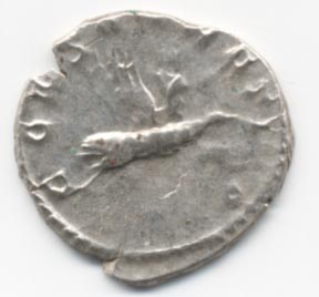 Guess-The-Emperor,-Caesar,-Or-Empress