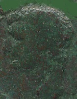 Guess-The-Emperor,-Caesar,-Or-Empress