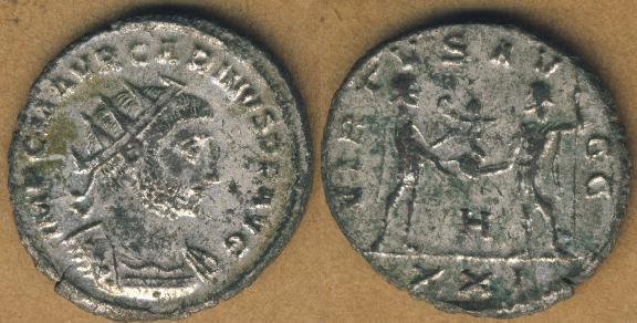 Silvered-Carinus