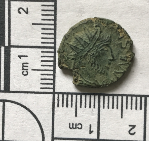 Roman-Barbarous-Radiate--ID-Please.