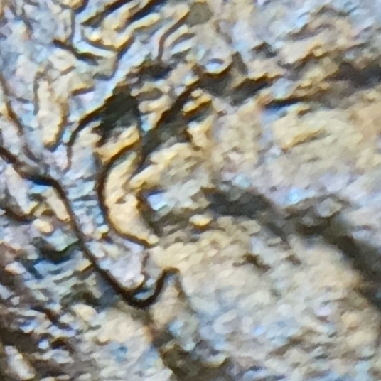 1982-P-Lincoln-Penny-Small-Date-Double-Ear?