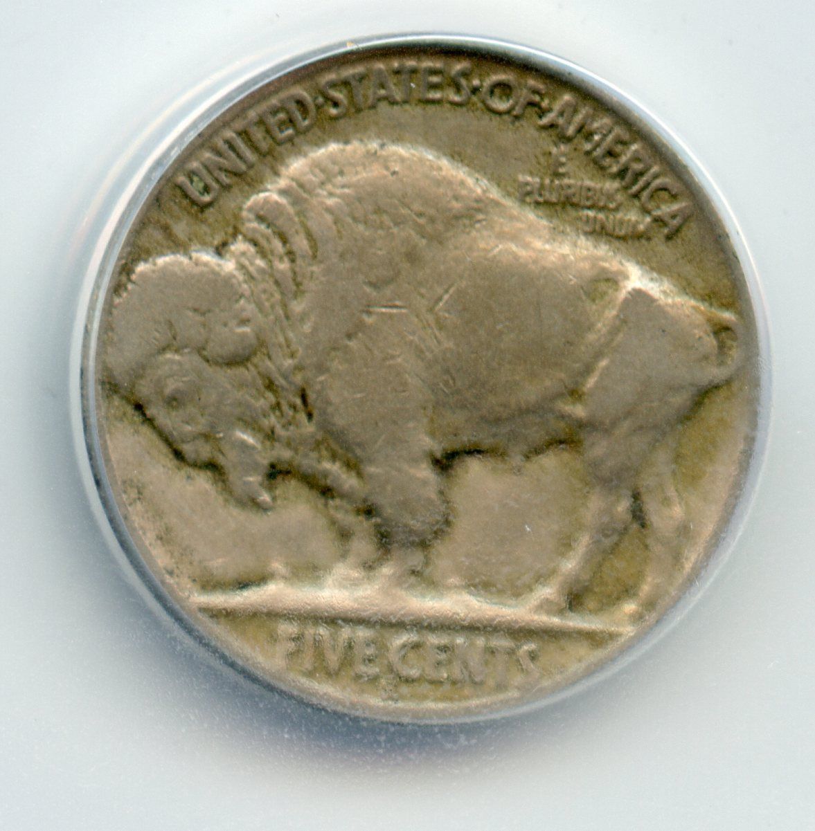 1921-S-Buffalo-Nickel-You-Vs-ANACS---Grade-Posted.