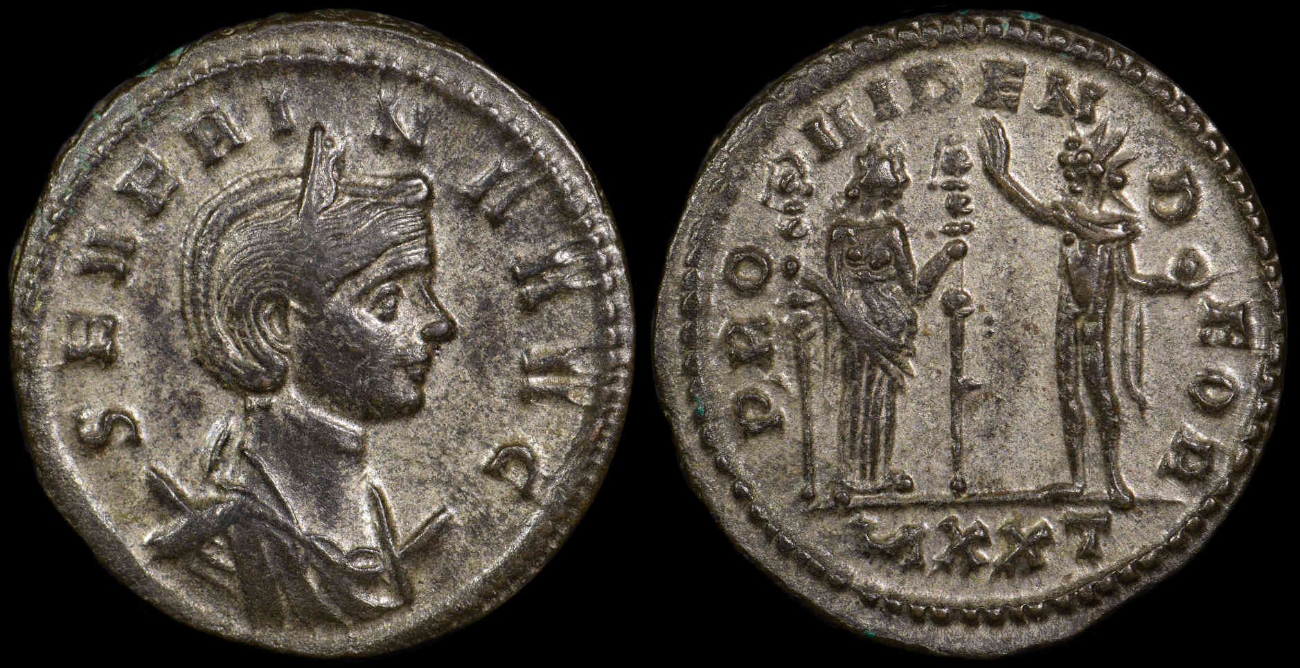 Women-Of-Rome---Severina