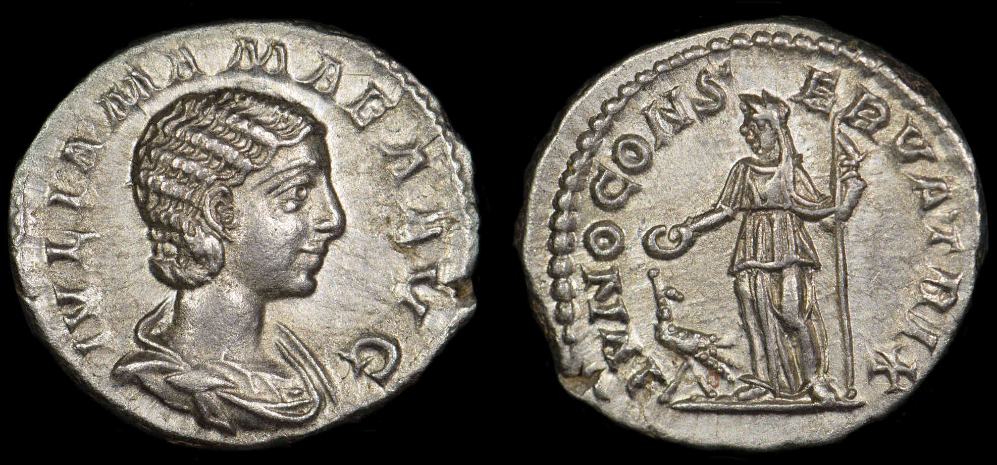 Julia-Mamaea-�-Mother-Of-Severus-Alexander
