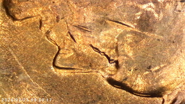 1969-S-Penny-Doubling---Maybe-Tripling?