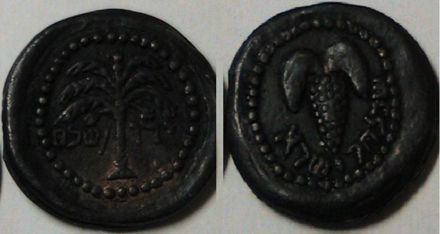Israeli-Coin?-|-Replica/Fantasy-Ancient-Judaean