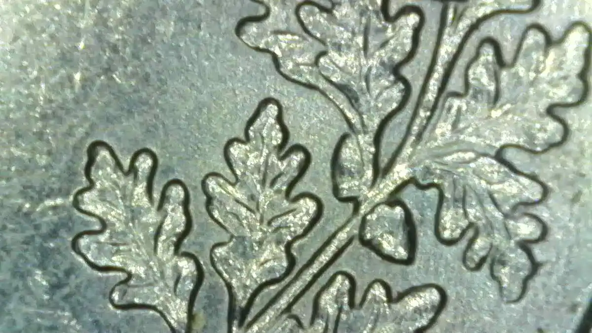 2000-P-Maryland-State-Quarter-Silver?