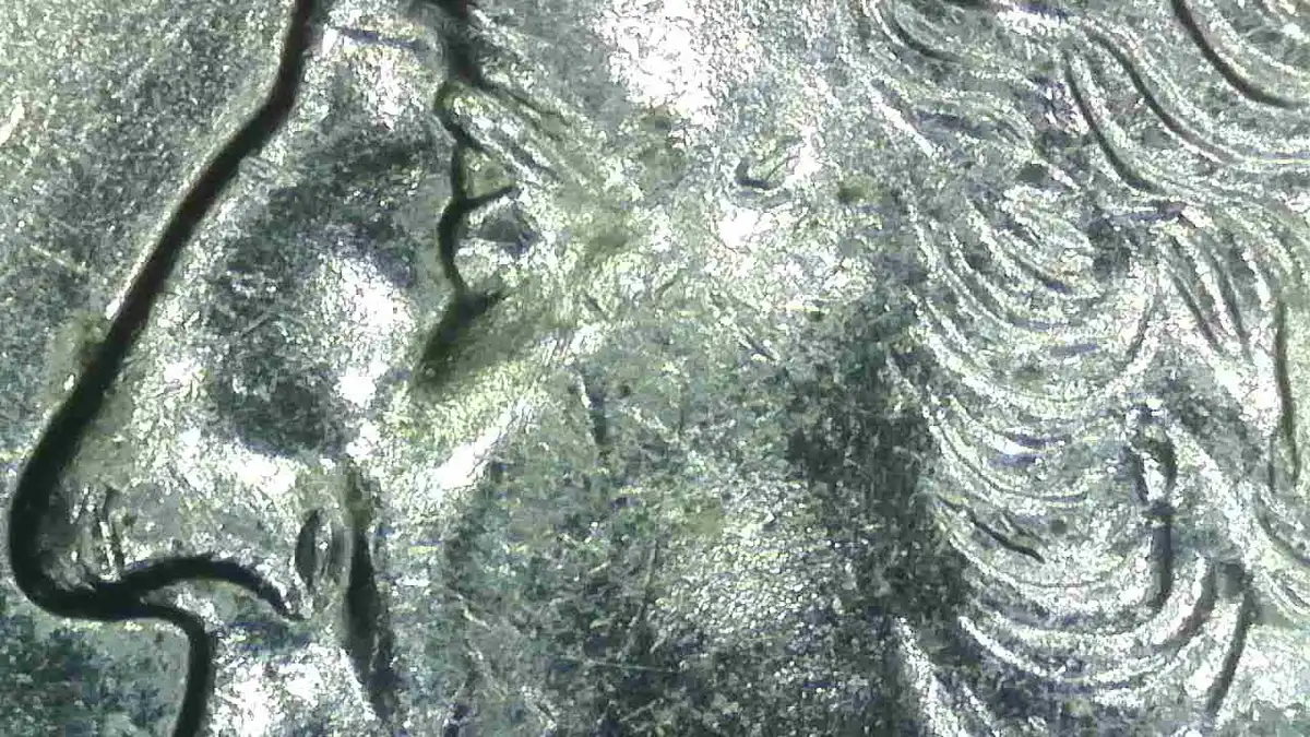 2000-P-Maryland-State-Quarter-Silver?