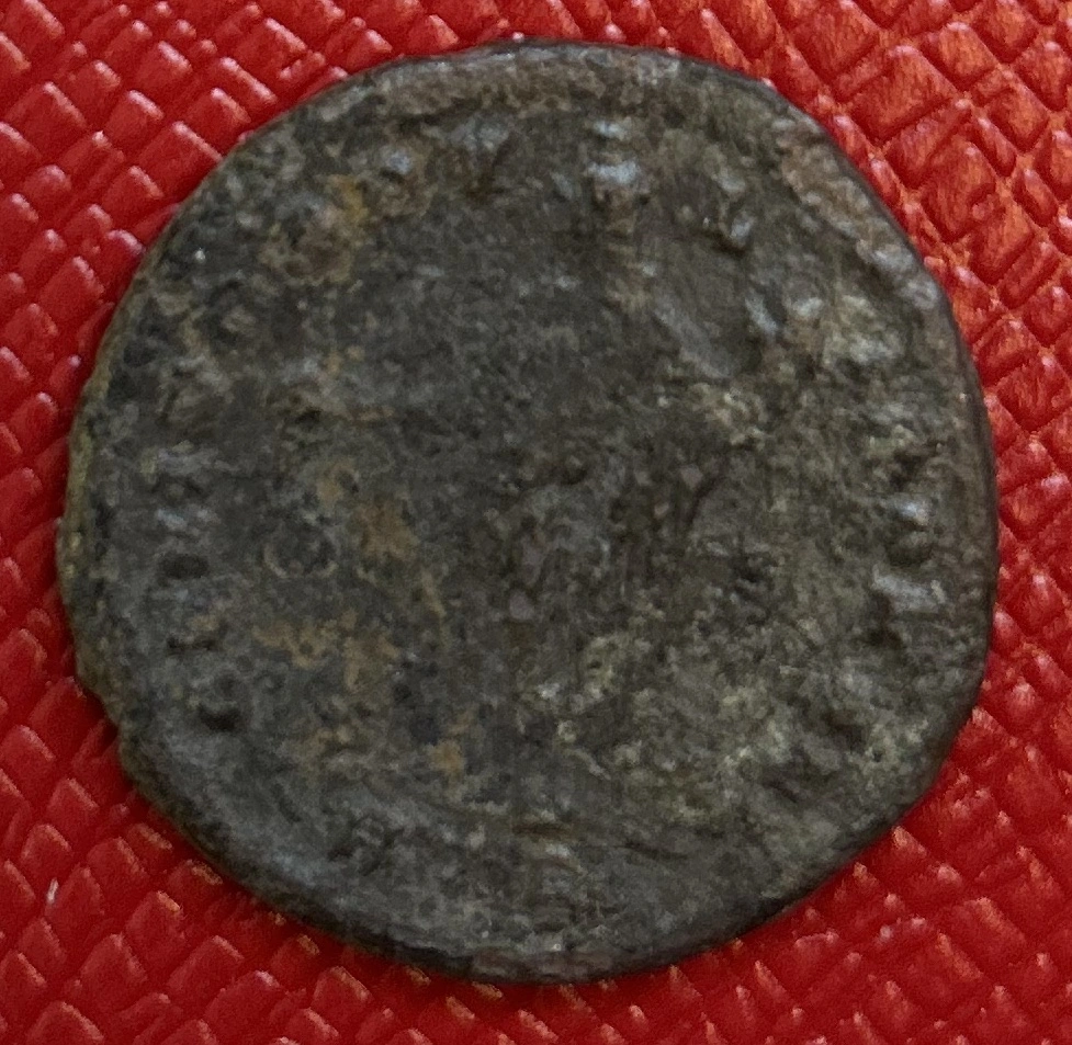 I-Think-I-Have-This-One-Identified,-So-I-Think