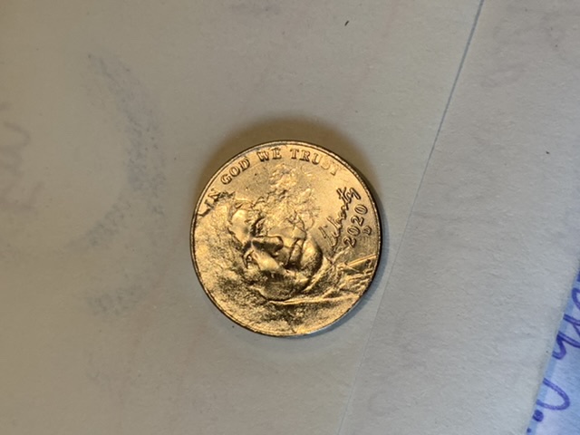 2020-D-Nickel-Error?