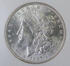 You-Vs-NGC---1887-Morgan-Silver-Dollar