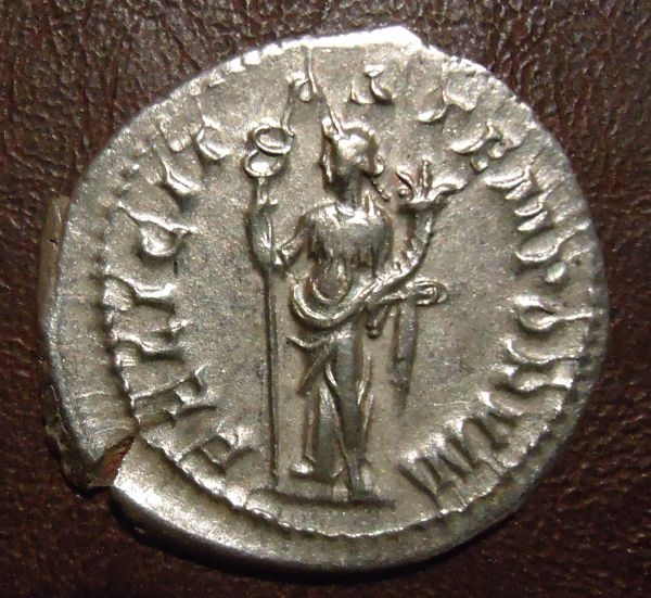 Please-Help-Get-Me-Into-Collecting-Ancients!