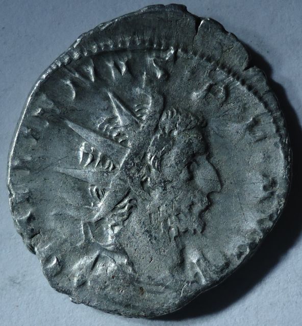 My-New-Coins---Opinions-Needed