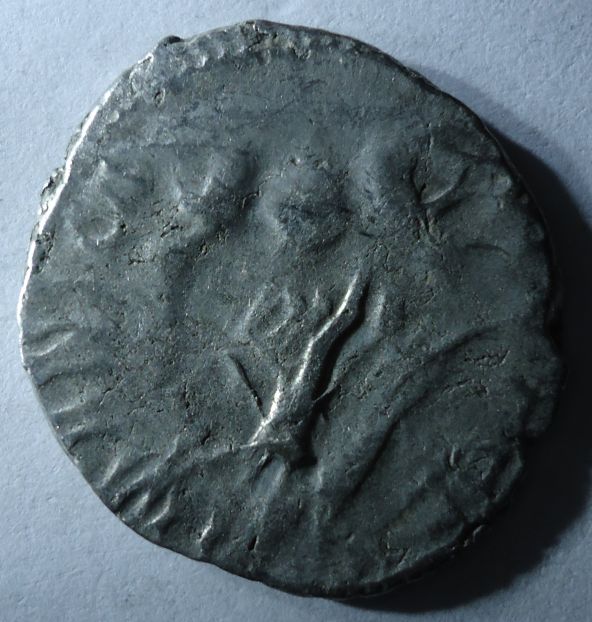 My-New-Coins---Opinions-Needed