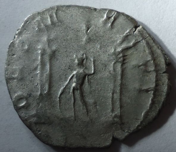 My-New-Coins---Opinions-Needed