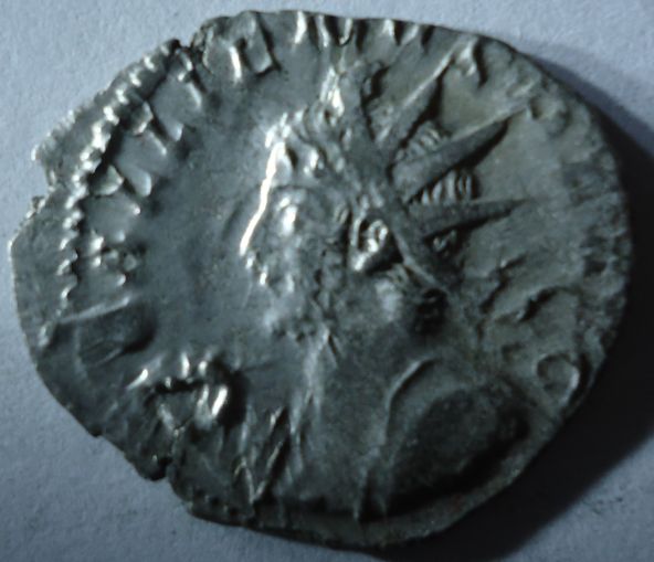 My-New-Coins---Opinions-Needed
