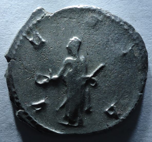 My-New-Coins---Opinions-Needed