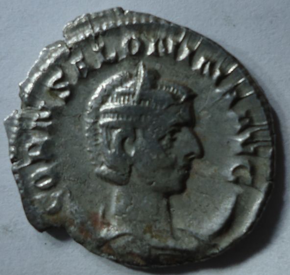 My-New-Coins---Opinions-Needed