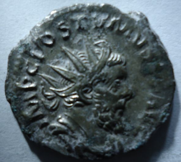 My-New-Coins---Opinions-Needed