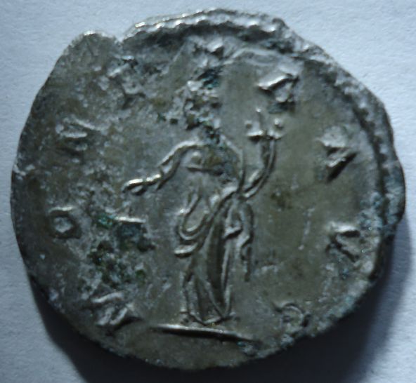 My-New-Coins---Opinions-Needed