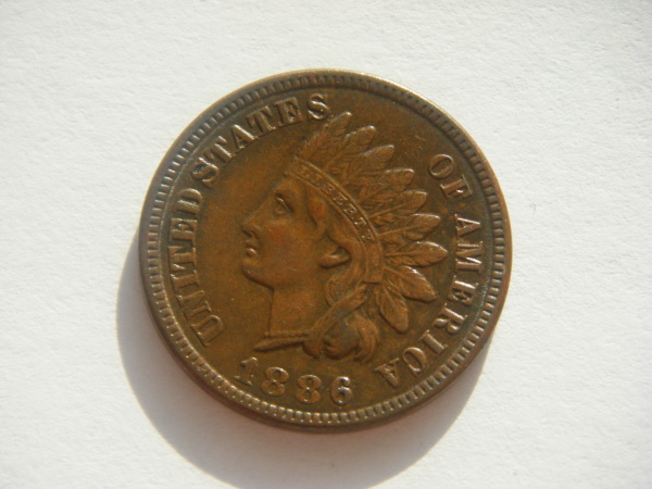 1886-Type-I-Penny,-Care-To-Grade?
