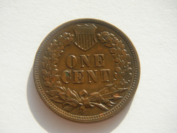 1886-Type-I-Penny,-Care-To-Grade?
