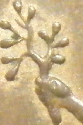 1797-Cartwheel-Penny.-11-Stems/10-Leaves