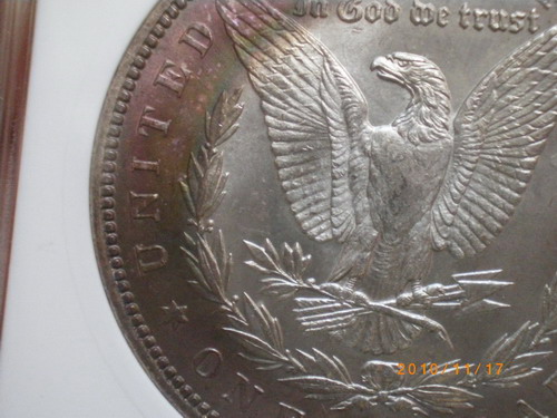 My-1st-Morgan-Dollar-Coin