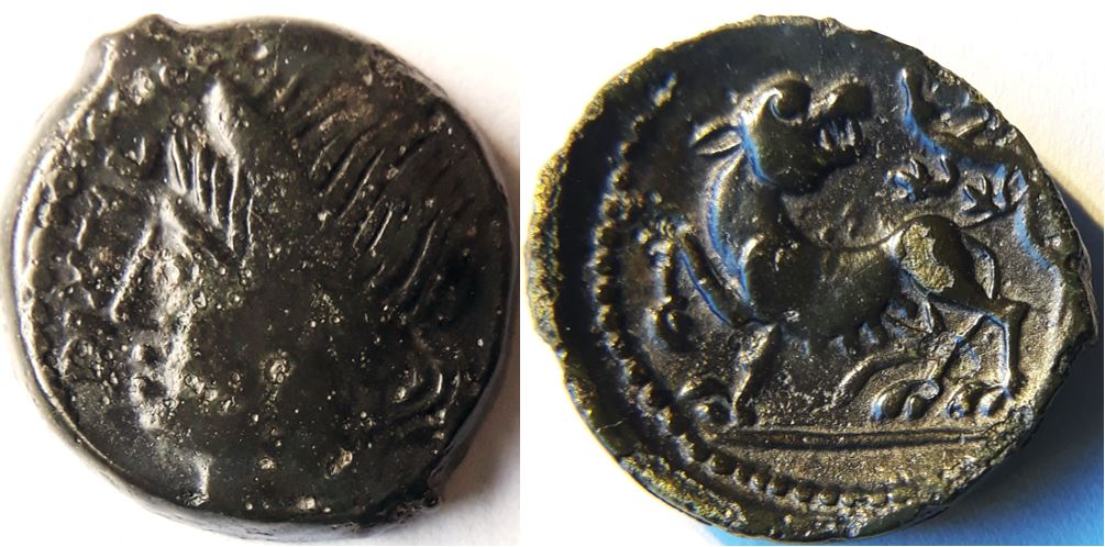 My-First-Animal-On-A-Coin.