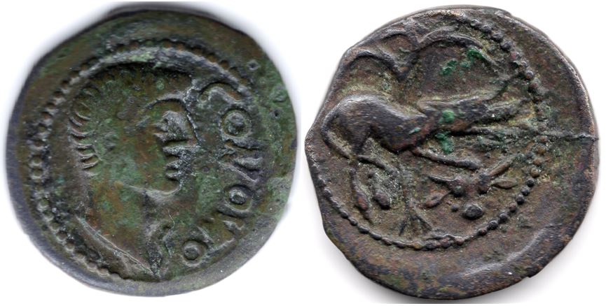 My-First-Animal-On-A-Coin.