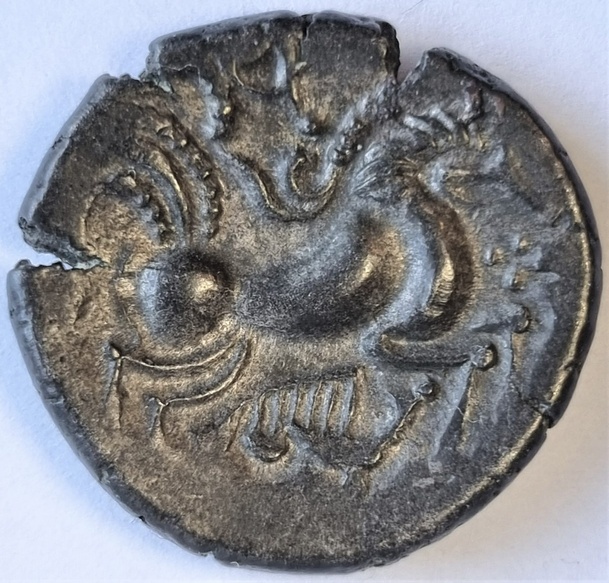 My-First-Animal-On-A-Coin.