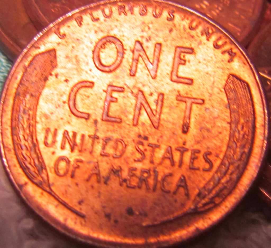 Cool-Find-Bank-Roll