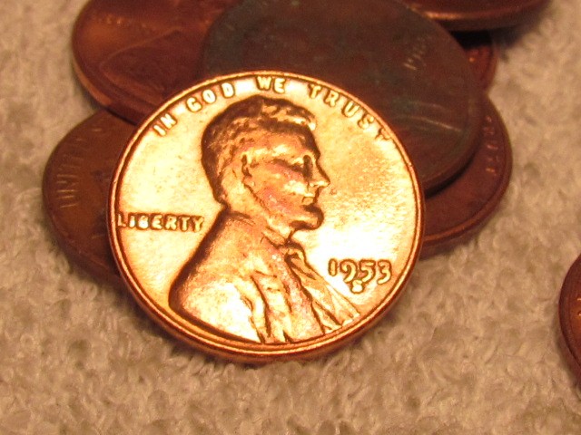 Shiniest-Wheat-Ever