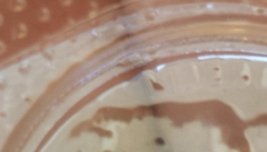 Dented-Gold-Buffalo?