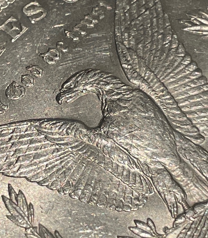 1879-Morgan---Are-These-Bag/Mint-Marks?
