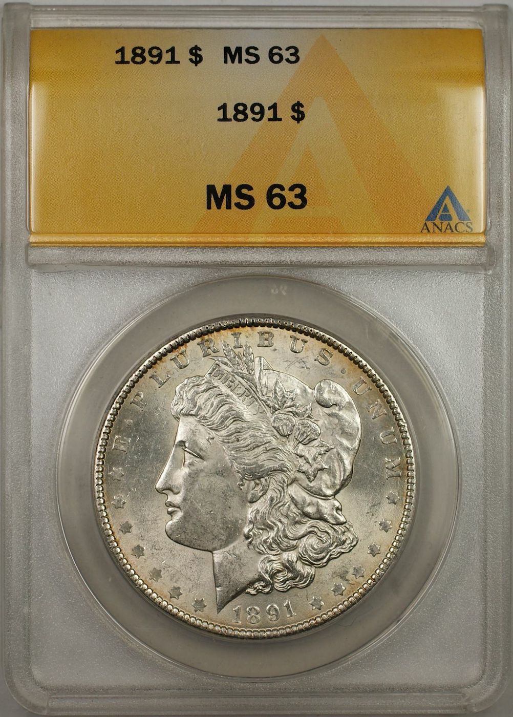 1891-Morgan-Grade-Thoughts?