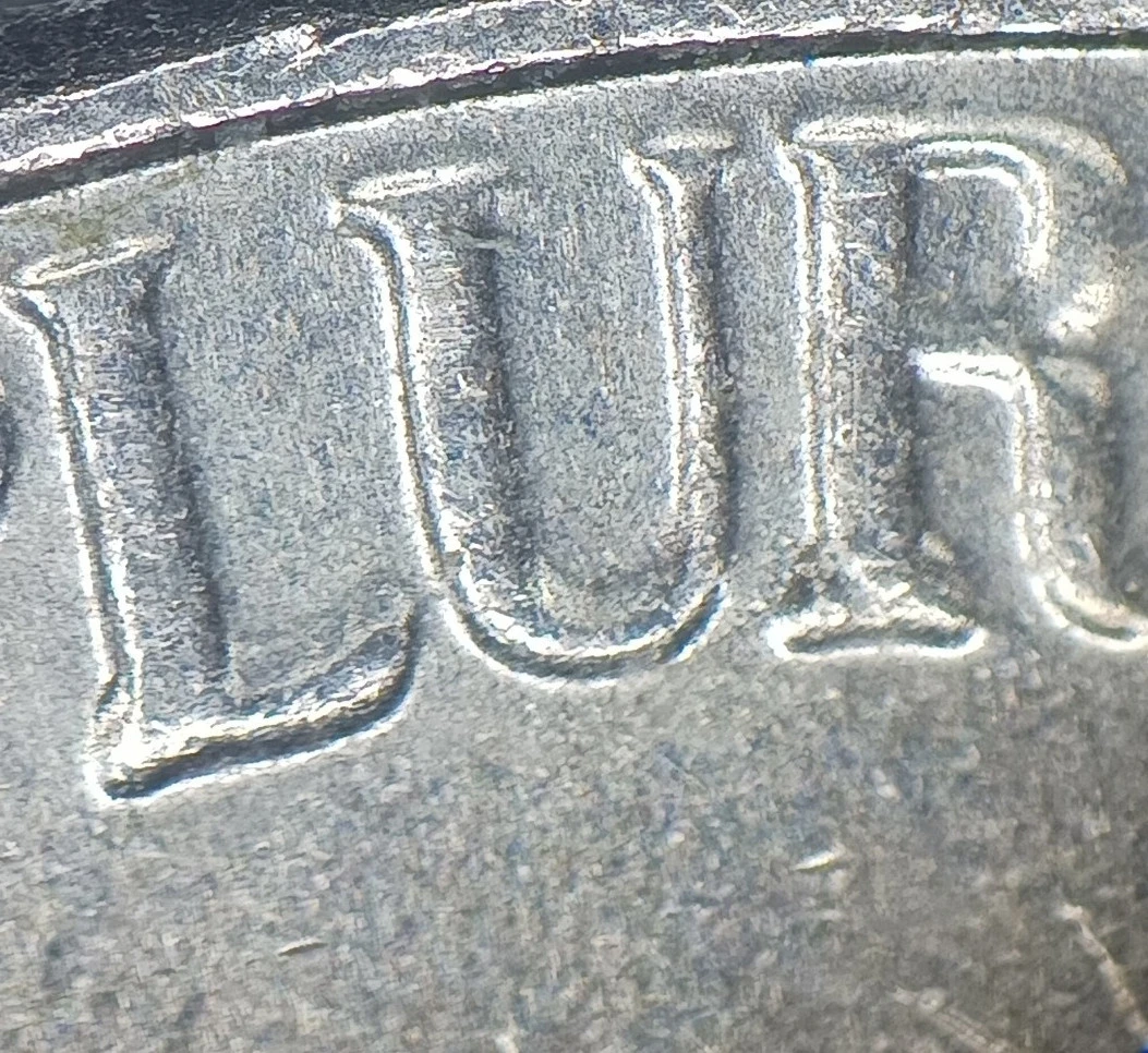 2022-P-Nickle-WDDR009