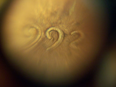 1992-D-Lincoln-Memorial-Cent-Double-Die-Obverse?