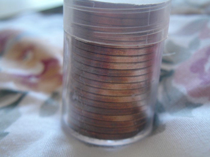 Nice-Sacagawea-Toning
