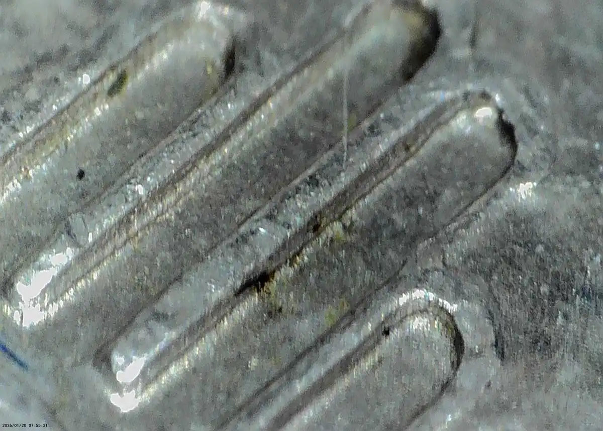 2008-D-NM-Quarter-Inner-MDd-Or-DDR