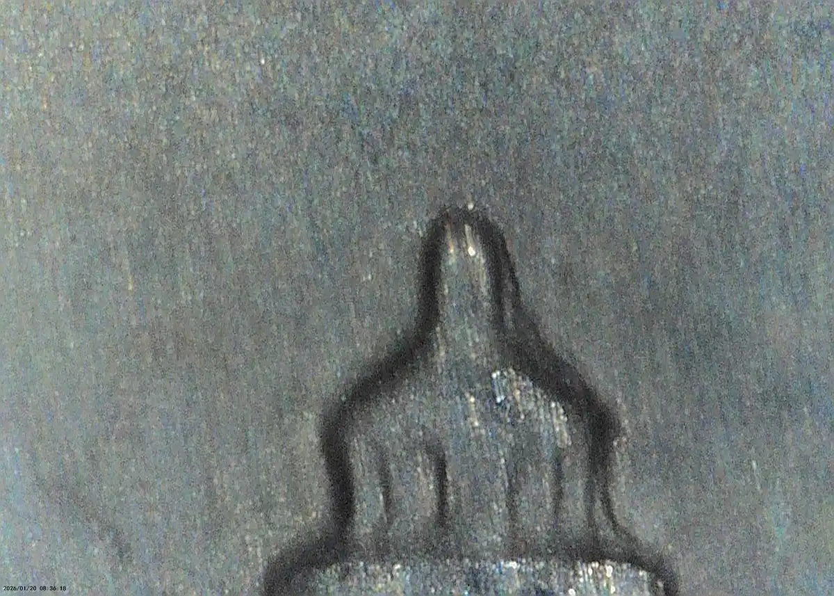 2008-D-NM-Quarter-Inner-MDd-Or-DDR