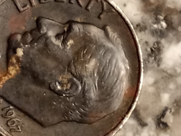 Missing-The-Clad?-Feedback-Is-Appreciated