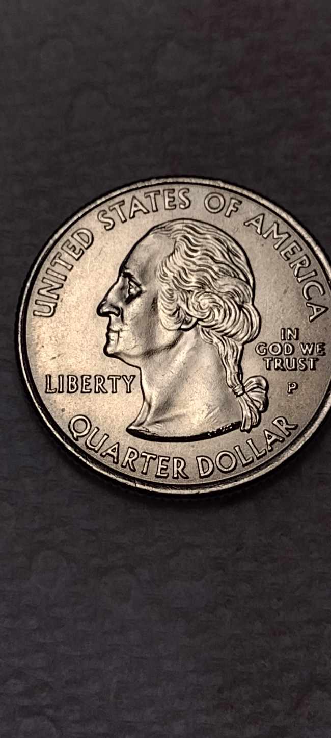 2008-P-New-Mexico-Quarter-With-Errors,-Any-Thoughts?