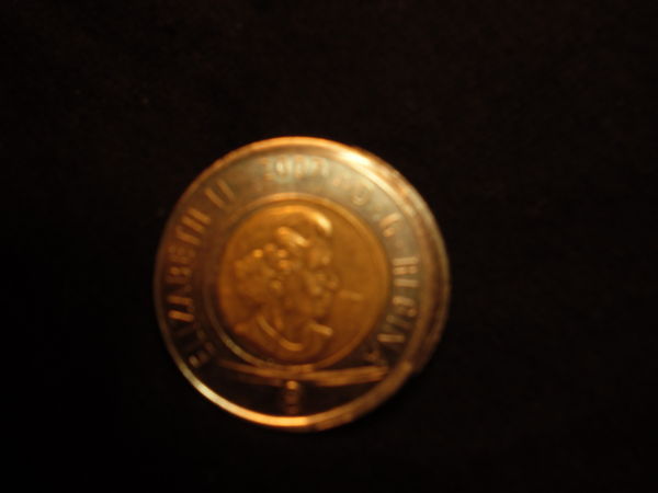 2007-Toonie-Misstrike?